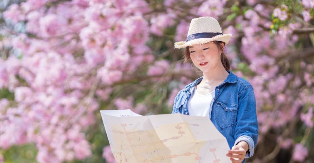 Turista viendo mapa delante de árbol rosa